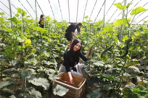 恭喜禹州榮登2017旅游業(yè)最美中國(guó)榜 又一項(xiàng)國(guó)家級(jí)榮譽(yù)花落禹州