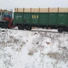  綏化市樺林木制品廠 主營 樺木圓棒 樺木旗桿 雪