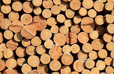 幸福也可以定制,左右愿做你的&ldquo;三好先生&rdquo;!