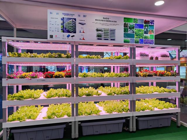離開土壤也能培育蔬菜鮮花走進(jìn)植物工廠解鎖現(xiàn)代農(nóng)業(yè)種植新技術(shù)