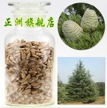 【印度種子】最新最全印度種子 產品參考信息