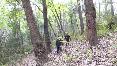 貴州望謨 加強(qiáng)林木種質(zhì)資源保護(hù) 奏響生態(tài)文明奮進(jìn)樂(lè)章