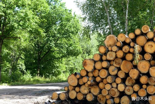 新西蘭旨推進(jìn)木質(zhì)生物質(zhì)能源利用