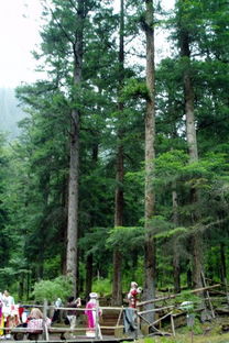 2012年 迎國(guó)慶 教職工書畫攝影作品展示 攝影