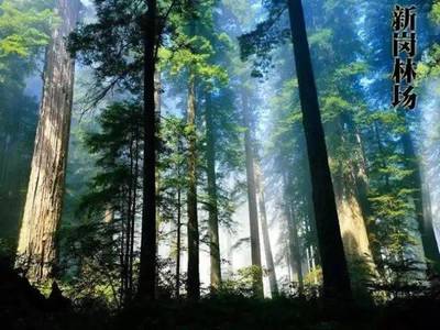 和美懷集,一個(gè)值得你來了又來的地方!