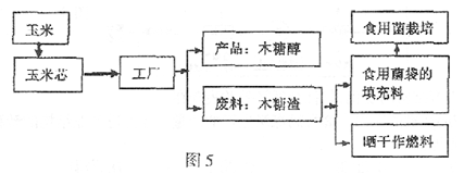 讀我國(guó)東北地區(qū)玉米芯綜合利用產(chǎn)業(yè)鏈?zhǔn)疽鈭D(圖),回答下面問題1.在世界其他地區(qū),生產(chǎn)木糖醇的原料主要是林木,在我國(guó)則主要是使用玉米芯。與其他相比,我國(guó)用玉米芯作原料制取木糖_作業(yè)幫