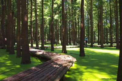 采棕葉、賽龍舟、做香囊&hellip;今年帶娃到這里過一個(gè)不同尋常的端午節(jié)