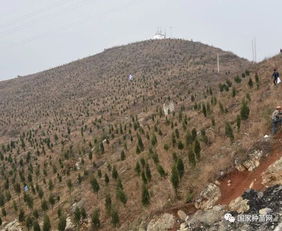 貴州省舉辦2019年林木種苗質量檢查培訓班