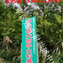 鹽城市大豐區南陽鎮錦林花木專業合作社