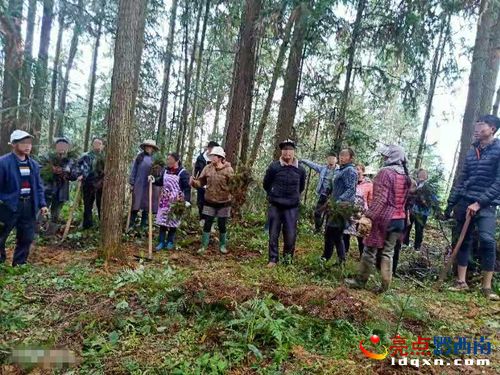 普安檢察機關依法公訴濫伐林木案，督促補植復綠修復生態