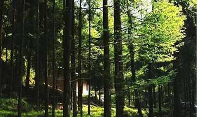 圖說(shuō)巴中美景 | 林木蔥蘢清風(fēng)爽，康養(yǎng)勝地天馬山